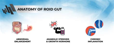 What Is Palumboism: Roid Gut Guide .